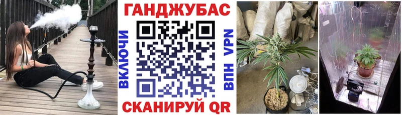 Каннабис Amnesia  Купить  Чапаевск 